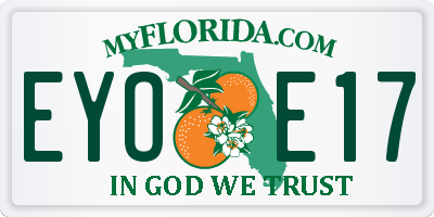 FL license plate EYOE17