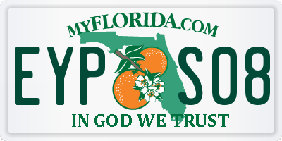 FL license plate EYPS08