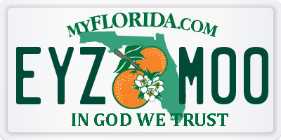 FL license plate EYZM00