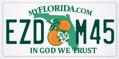 FL license plate EZDM45