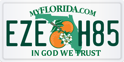 FL license plate EZEH85
