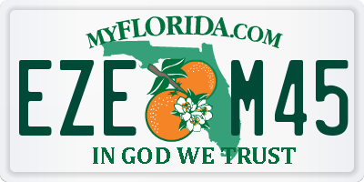 FL license plate EZEM45