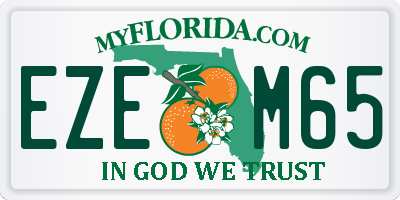 FL license plate EZEM65