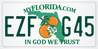 FL license plate EZFG45
