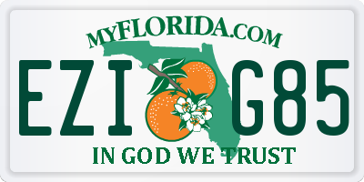 FL license plate EZIG85