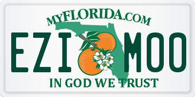 FL license plate EZIM00