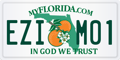 FL license plate EZIM01