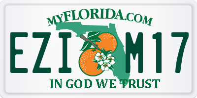 FL license plate EZIM17