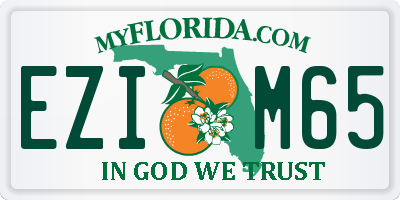 FL license plate EZIM65