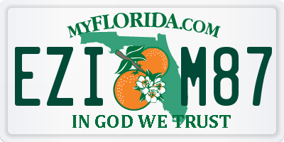 FL license plate EZIM87