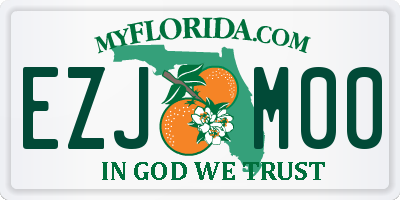 FL license plate EZJM00