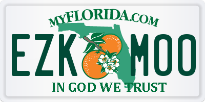 FL license plate EZKM00