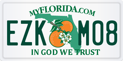 FL license plate EZKM08