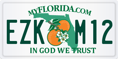 FL license plate EZKM12