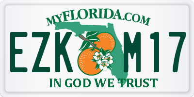 FL license plate EZKM17