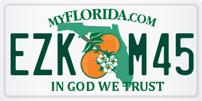 FL license plate EZKM45