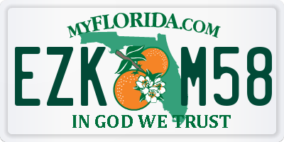 FL license plate EZKM58