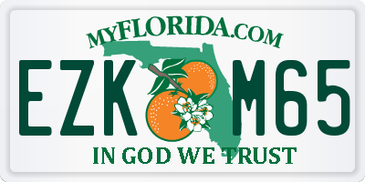 FL license plate EZKM65