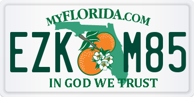 FL license plate EZKM85