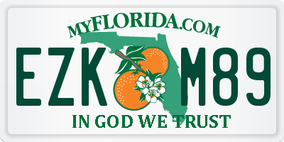 FL license plate EZKM89