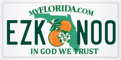 FL license plate EZKN00