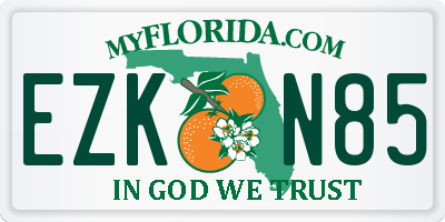 FL license plate EZKN85