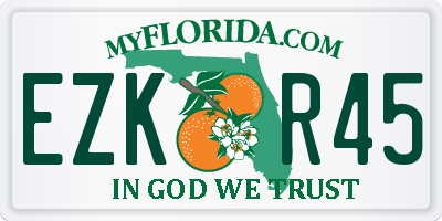 FL license plate EZKR45