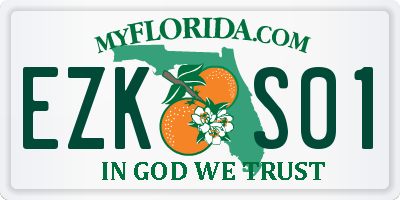 FL license plate EZKS01