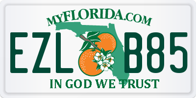 FL license plate EZLB85