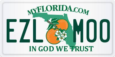 FL license plate EZLM00