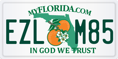 FL license plate EZLM85