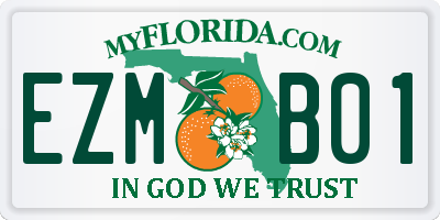 FL license plate EZMB01