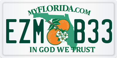 FL license plate EZMB33