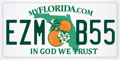 FL license plate EZMB55