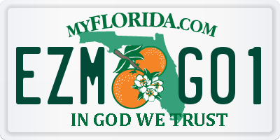 FL license plate EZMG01