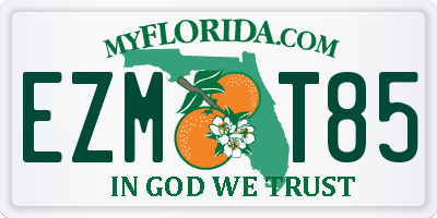 FL license plate EZMT85