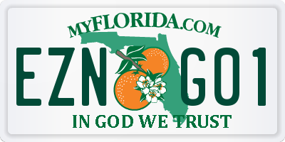 FL license plate EZNG01