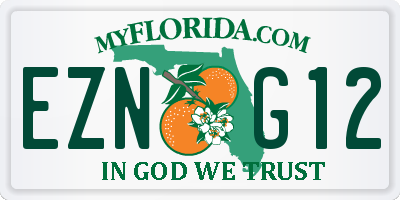 FL license plate EZNG12