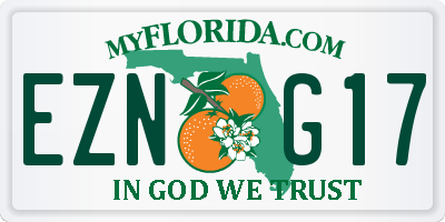 FL license plate EZNG17