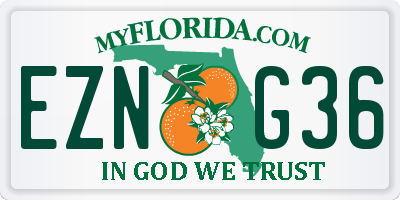 FL license plate EZNG36