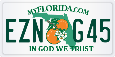 FL license plate EZNG45