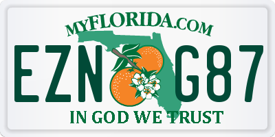 FL license plate EZNG87