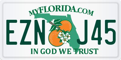 FL license plate EZNJ45