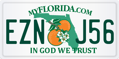 FL license plate EZNJ56