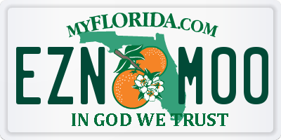 FL license plate EZNM00