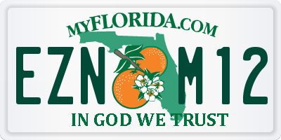 FL license plate EZNM12