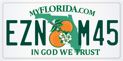 FL license plate EZNM45