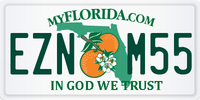 FL license plate EZNM55