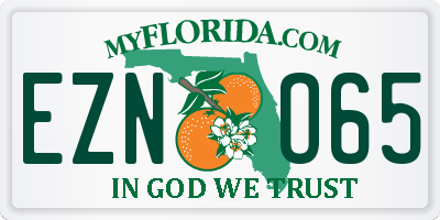 FL license plate EZNO65