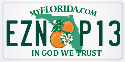 FL license plate EZNP13